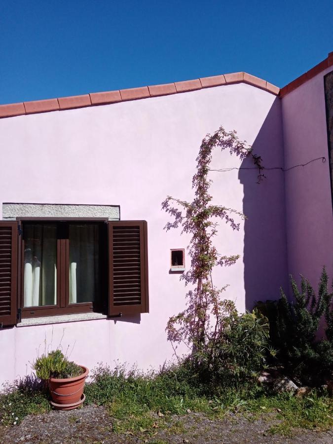 Pessego - Al Villa Arouca Exteriör bild